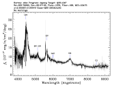1978-53473-0196