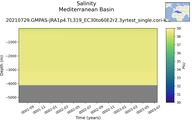 Time series of Mediterranean Basin Salinity vs depth