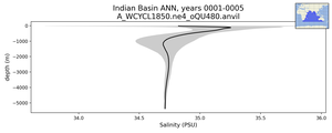 Indian Basin Salinity vs depth