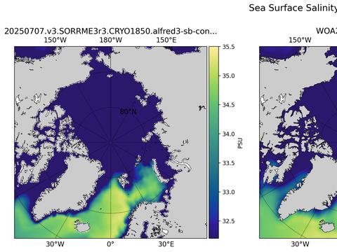 Arctic Salinity