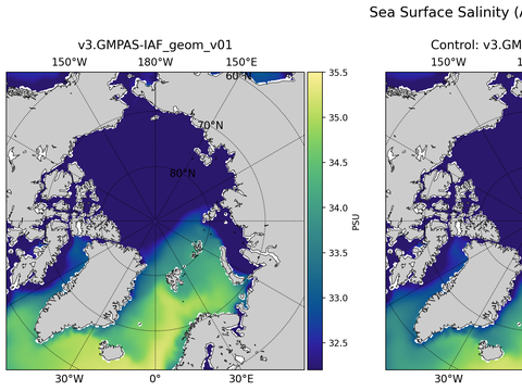 Arctic Salinity
