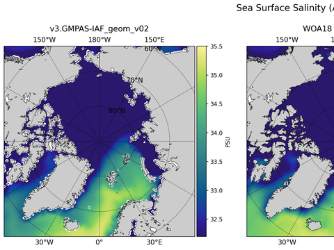 Arctic Salinity