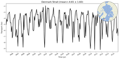 Transport through the Denmark Strait Transect