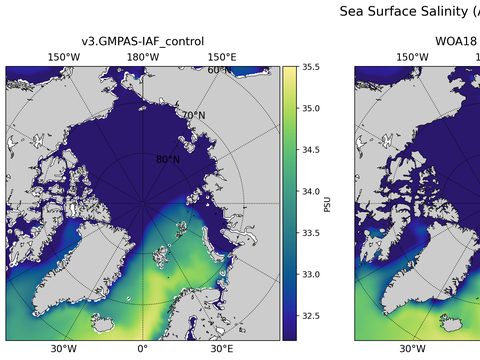 Arctic Salinity