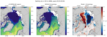 ANN Salinity
