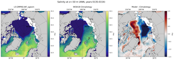 ANN Salinity