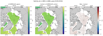 ANN Salinity