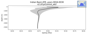 Indian Basin Salinity vs depth