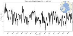 Transport through the Denmark Strait Transect