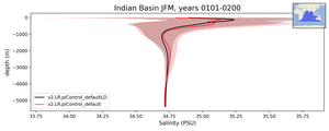 Indian Basin Salinity vs depth