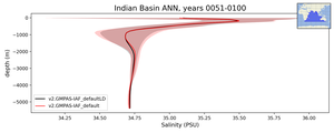 Indian Basin Salinity vs depth
