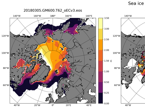 Northern-Hemisphere Sea-Ice Thickness