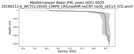 Mediterranean Basin Salinity vs depth