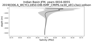 Indian Basin Salinity vs depth