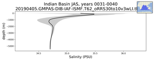 Indian Basin Salinity vs depth