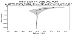 Indian Basin Salinity vs depth