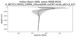 Indian Basin Salinity vs depth