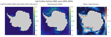 ANN Salinity