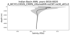 Indian Basin Salinity vs depth
