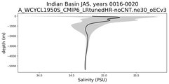 Indian Basin Salinity vs depth