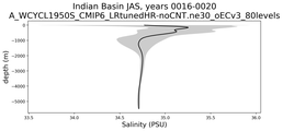 Indian Basin Salinity vs depth