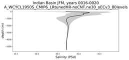 Indian Basin Salinity vs depth