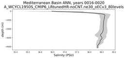 Mediterranean Basin Salinity vs depth