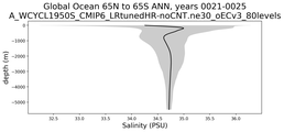 Global Ocean 65N to 65S Salinity vs depth