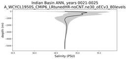 Indian Basin Salinity vs depth