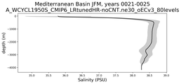 Mediterranean Basin Salinity vs depth