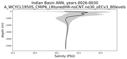 Indian Basin Salinity vs depth