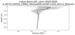 Indian Basin Salinity vs depth