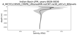 Indian Basin Salinity vs depth