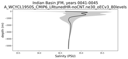 Indian Basin Salinity vs depth
