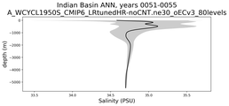 Indian Basin Salinity vs depth