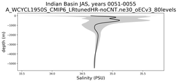 Indian Basin Salinity vs depth