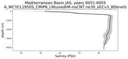 Mediterranean Basin Salinity vs depth