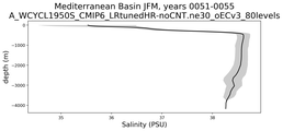 Mediterranean Basin Salinity vs depth