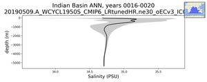 Indian Basin Salinity vs depth