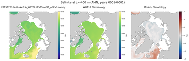 ANN Salinity