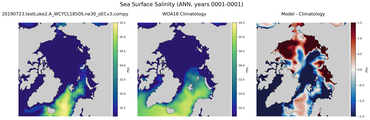 ANN Salinity