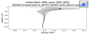 Indian Basin Salinity vs depth