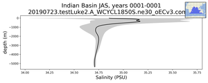 Indian Basin Salinity vs depth