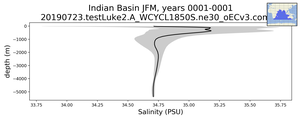 Indian Basin Salinity vs depth