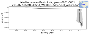Mediterranean Basin Salinity vs depth