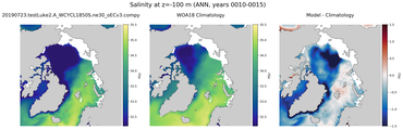ANN Salinity