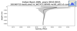 Indian Basin Salinity vs depth