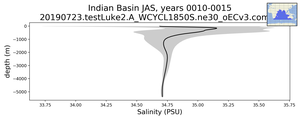 Indian Basin Salinity vs depth