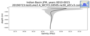 Indian Basin Salinity vs depth