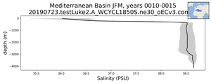 Mediterranean Basin Salinity vs depth
